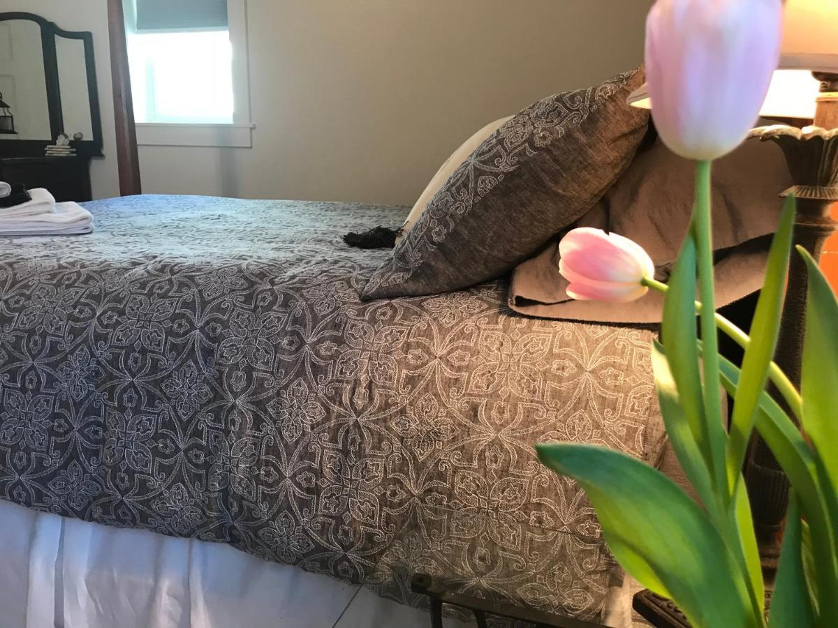 Snowgoose Pond Bed & Breakfast Palmer Exterior foto